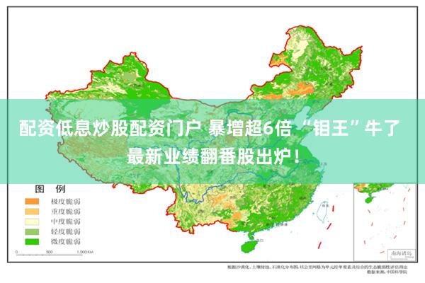 配资低息炒股配资门户 暴增超6倍 “钼王”牛了 最新业绩翻番股出炉！