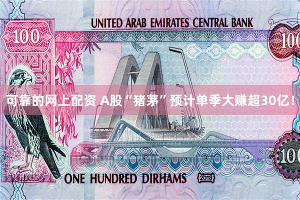 可靠的网上配资 A股“猪茅”预计单季大赚超30亿！