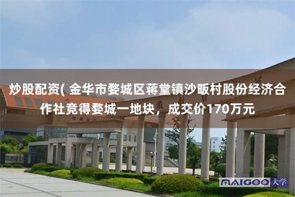 炒股配资( 金华市婺城区蒋堂镇沙畈村股份经济合作社竞得婺城一地块，成交价170万元
