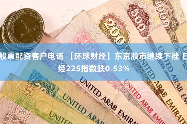 股票配资客户电话 【环球财经】东京股市继续下挫 日经225指数跌0.53%