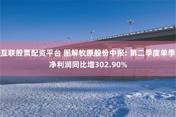 互联股票配资平台 图解牧原股份中报: 第二季度单季净利润同比增302.90%