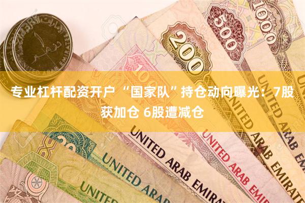 专业杠杆配资开户 “国家队”持仓动向曝光：7股获加仓 6股遭减仓
