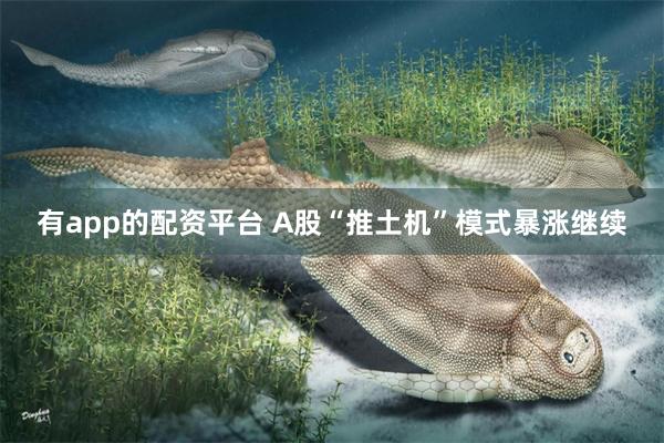 有app的配资平台 A股“推土机”模式暴涨继续