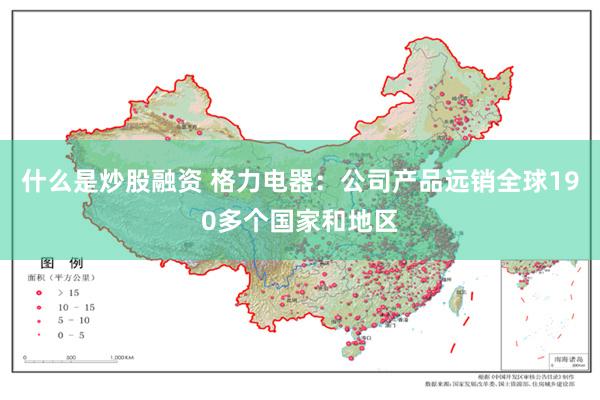什么是炒股融资 格力电器：公司产品远销全球190多个国家和地区