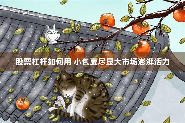 股票杠杆如何用 小包裹尽显大市场澎湃活力