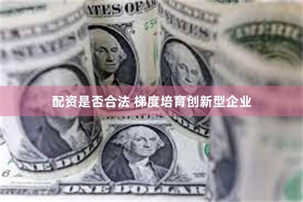 配资是否合法 梯度培育创新型企业