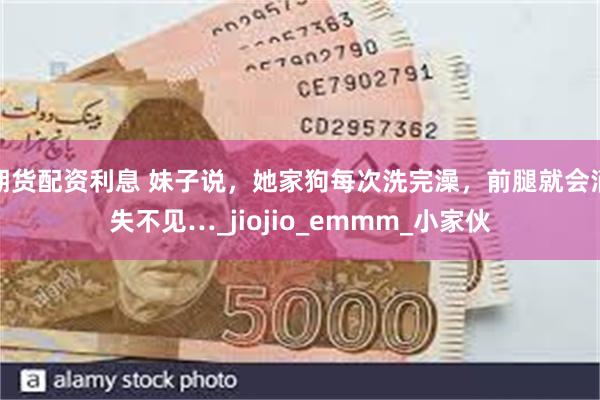 期货配资利息 妹子说，她家狗每次洗完澡，前腿就会消失不见…_jiojio_emmm_小家伙