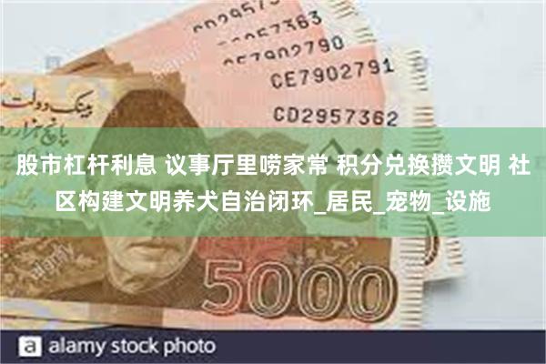 股市杠杆利息 议事厅里唠家常 积分兑换攒文明 社区构建文明养犬自治闭环_居民_宠物_设施