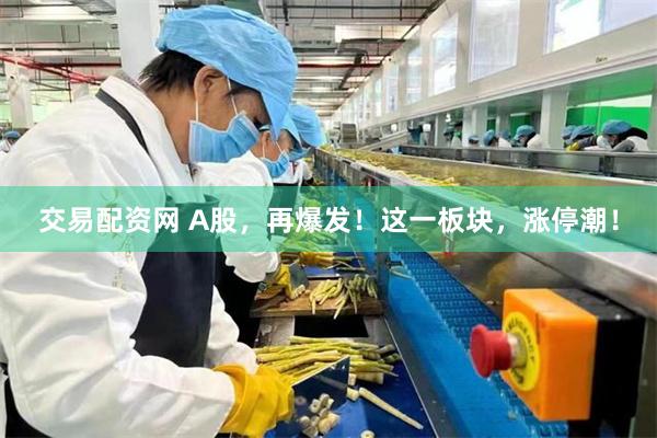交易配资网 A股，再爆发！这一板块，涨停潮！